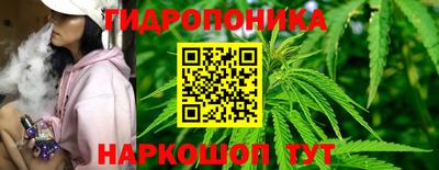 прущие грибы Малоярославец